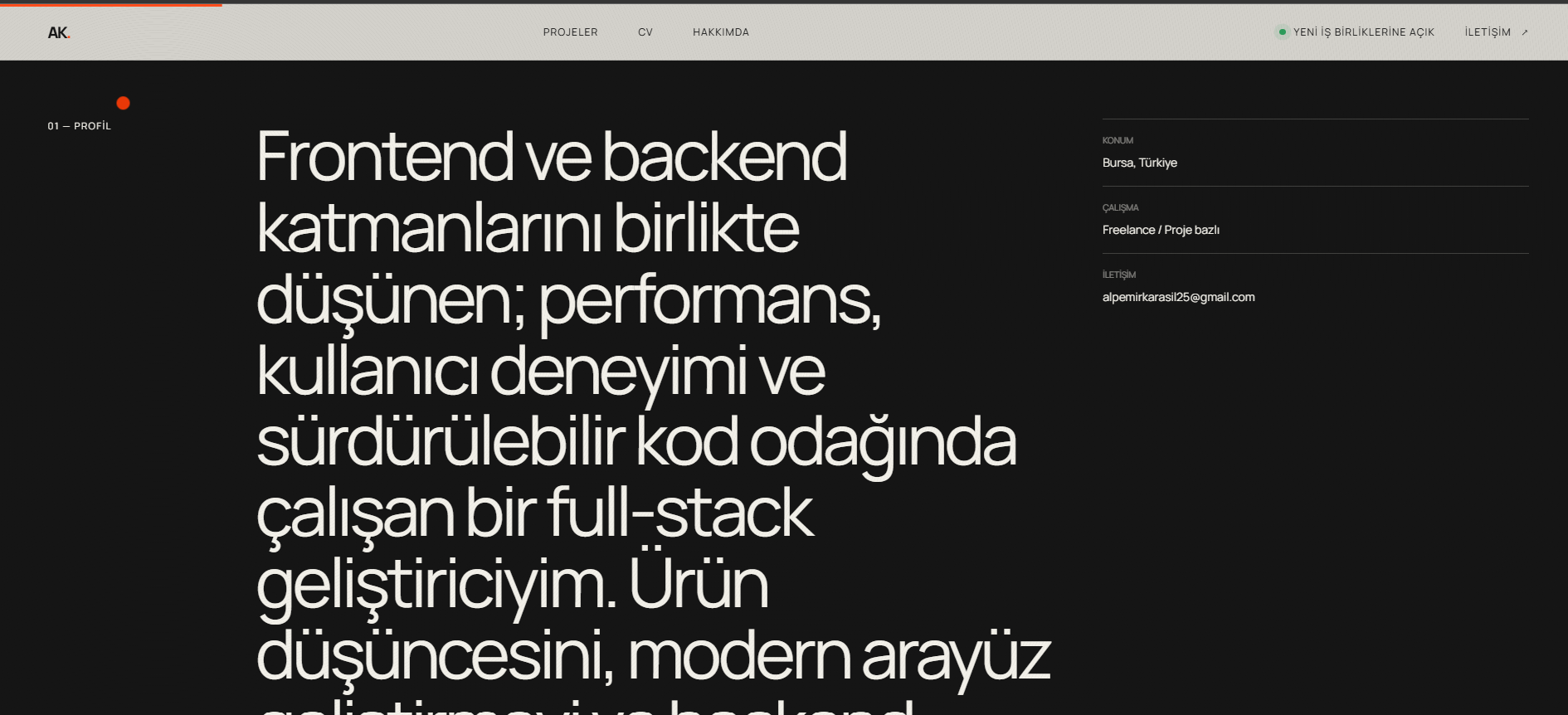 Alpemir Karasıl — Profesyonel profil