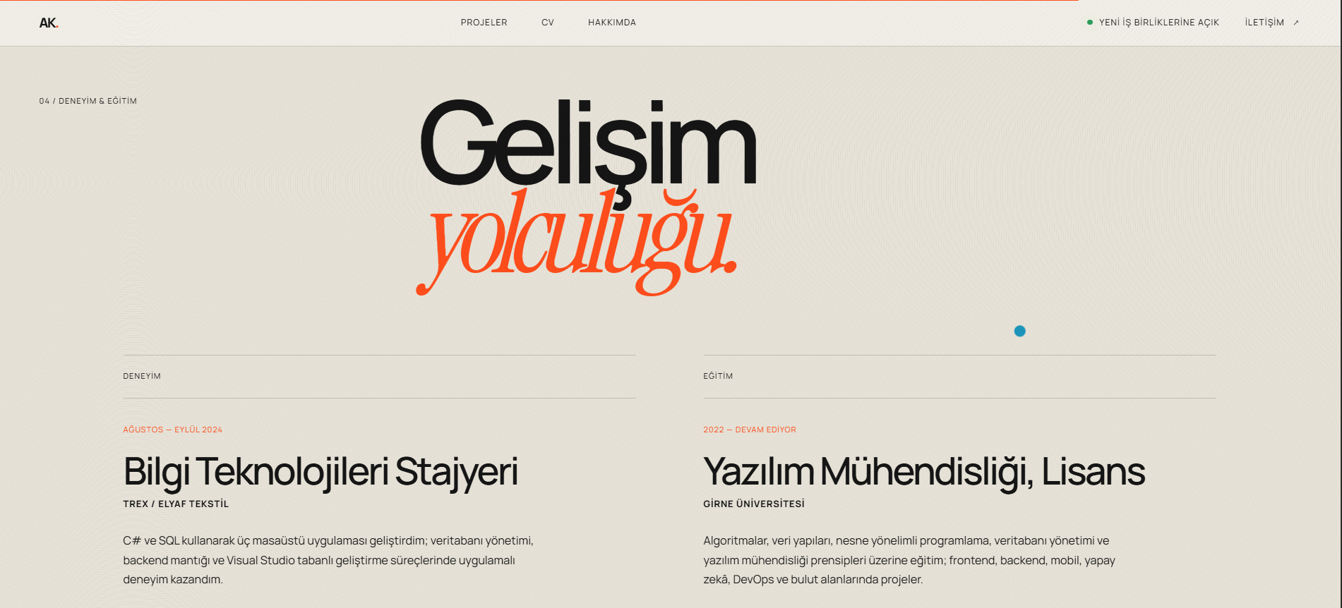 Alpemir Karasıl — Deneyim ve eğitim