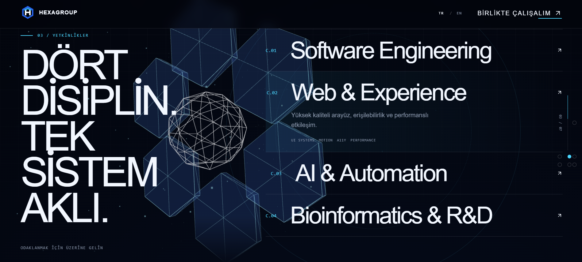 HexaGroup — Yetkinlikler bölümü